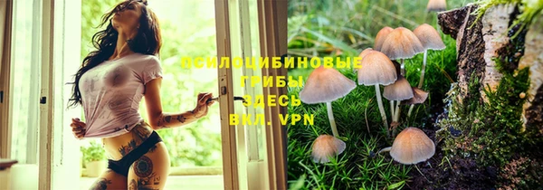 синтетический гашиш Нея