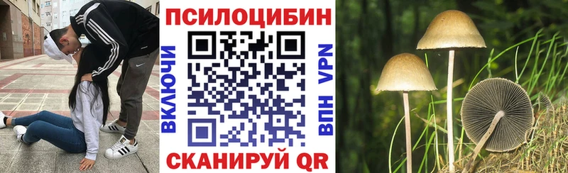 Галлюциногенные грибы Psilocybine cubensis  Находка 
