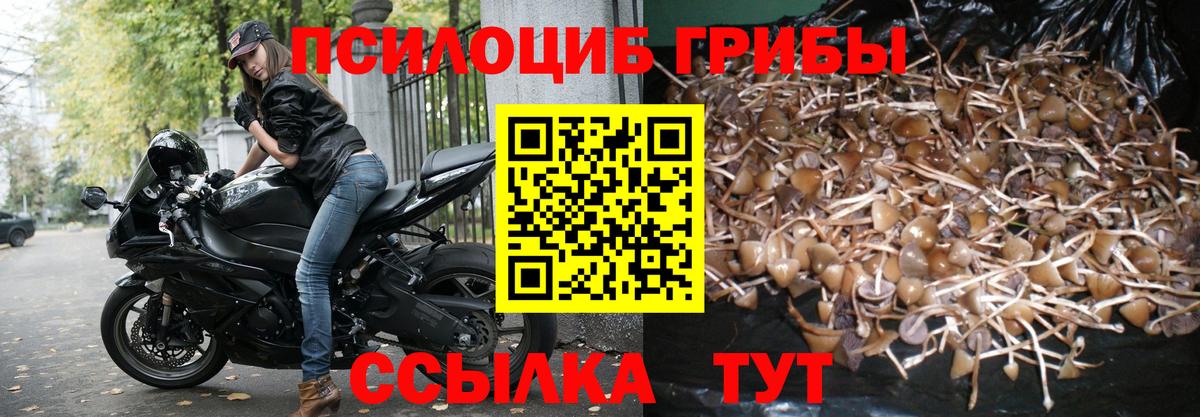 Галлюциногенные грибы Magic Shrooms Находка