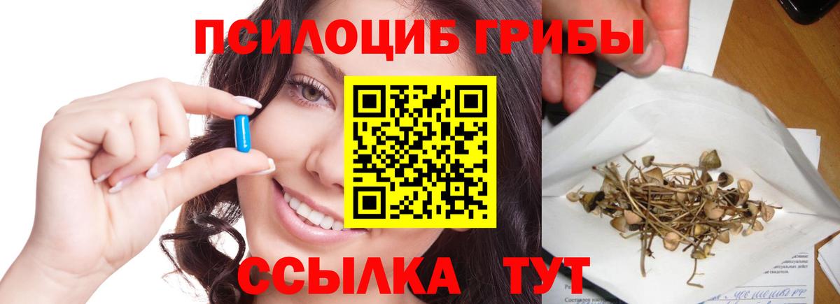 Галлюциногенные грибы GOLDEN TEACHER  Вход с VPN  Галлюциногенные грибы GOLDEN TEACHER  Находка 